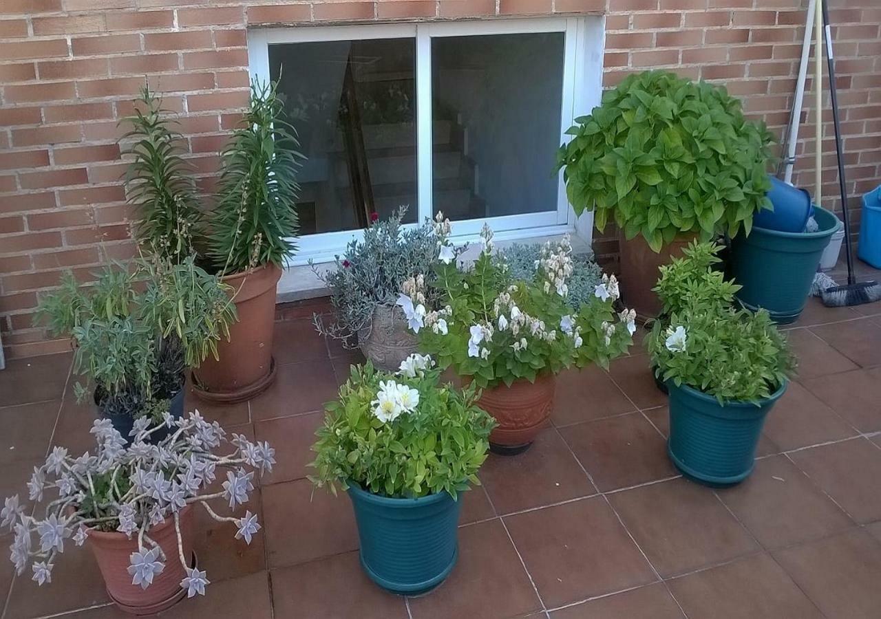 Pensión Las Matillas Miranda de Ebro Exterior foto